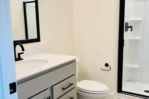 416 Destiny Farm Ln, Blythewood, SC 29016 - Photo 13