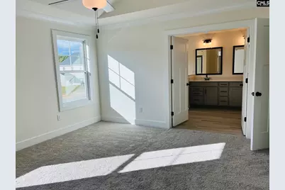 416 Destiny Farm Lane, Blythewood, SC 29016 - Photo 17