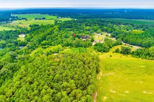 Lot B1 640 Stokes Bridge Rd W, Bishopville, SC 29010 - Photo 5