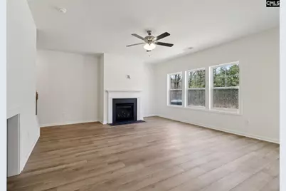 510 Griffon Drive, Chapin, SC 29036 - Photo 3