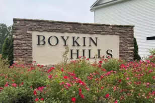 510 Griffon Dr, Chapin, SC 29036 - Photo 39