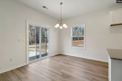 510 Griffon Drive, Chapin, SC 29036 - Photo 13