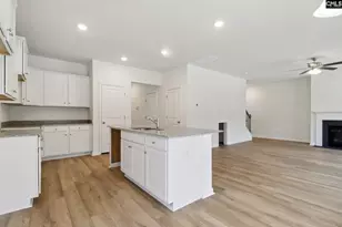 510 Griffon Dr, Chapin, SC 29036 - Photo 11