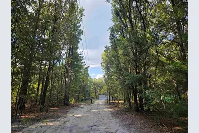 518 Whetstone Road, Swansea, SC 29160 - Photo 7