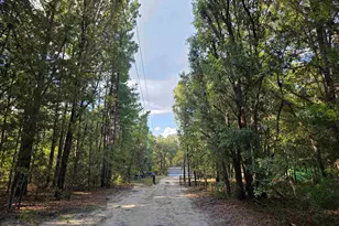 518 Whetstone Rd, Swansea, SC 29160 - Photo 7