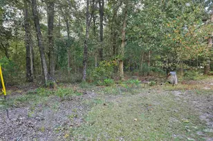 518 Whetstone Rd, Swansea, SC 29160 - Photo 27