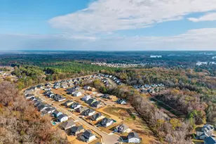 328 Murray Fls Ln, Chapin, SC 29036 - Photo 41