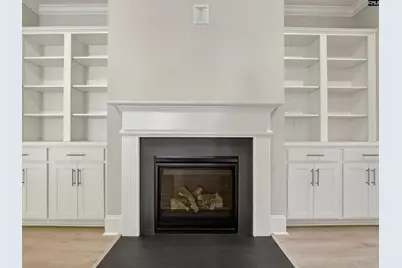 328 Murray Falls Lane, Chapin, SC 29036 - Photo 11