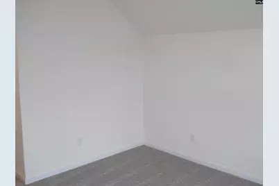 119 Locomotive (Lot 12) Lane, Irmo, SC 29063 - Photo 29