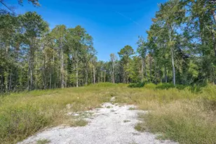 1532 Martin Luther King Blvd, Hopkins, SC 29061 - Photo 5