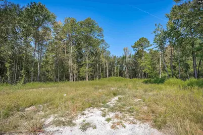 1532 Martin Luther King Boulevard, Hopkins, SC 29061 - Photo 7