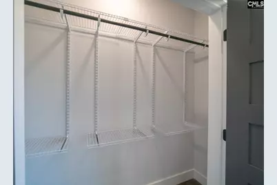 41 Dinkins Place Road, Blythewood, SC 29016 - Photo 53