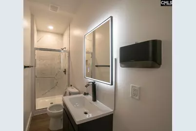 41 Dinkins Place Road, Blythewood, SC 29016 - Photo 67