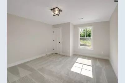 307 Murray Falls Lane, Chapin, SC 29036 - Photo 37