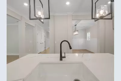 307 Murray Falls Lane, Chapin, SC 29036 - Photo 19