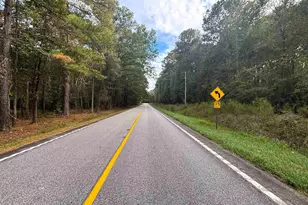 0 Marlboro Way, Bennettsville, SC 29512 - Photo 3