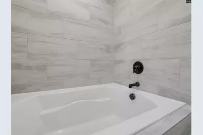 40 Elk Run Court, Chapin, SC 29036 - Photo 19