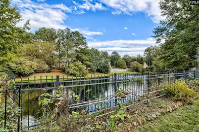 1 Alverston Court, Irmo, SC 29063 - Photo 19