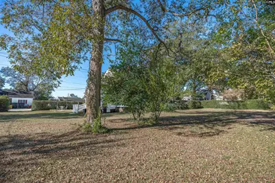 162 Lee Street N, Wagener, SC 29164 - Photo 43