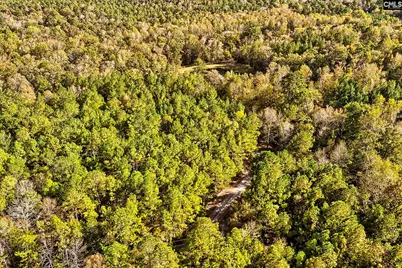 1348 Koon Trestle Road, Pomaria, SC 29126 - Photo 67
