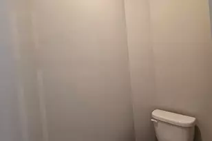 319 Murray Fls Ln, Chapin, SC 29036 - Photo 41