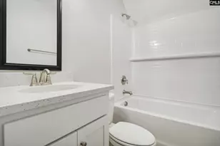 13 Elk Run Ct, Chapin, SC 29036 - Photo 25