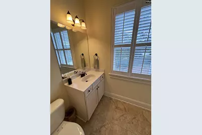 906 Battenkill Court, Lexington, SC 29072 - Photo 33