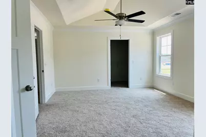 420 Destiny Farm Lane, Blythewood, SC 29016 - Photo 11