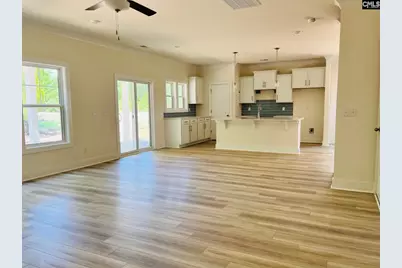 433 Destiny Farm Lane, Blythewood, SC 29016 - Photo 11