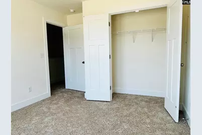 433 Destiny Farm Lane, Blythewood, SC 29016 - Photo 23