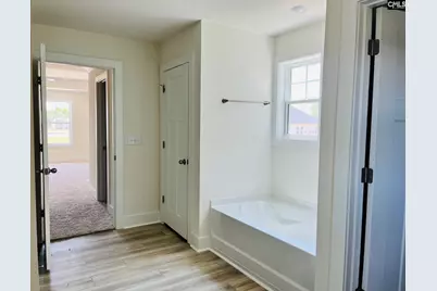 433 Destiny Farm Lane, Blythewood, SC 29016 - Photo 19