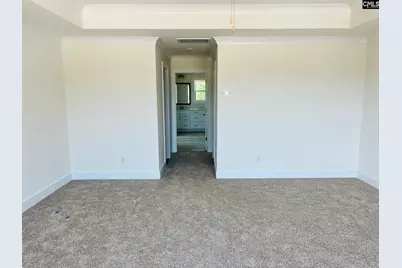 433 Destiny Farm Lane, Blythewood, SC 29016 - Photo 13