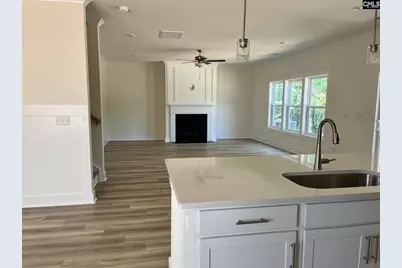 433 Destiny Farm Lane, Blythewood, SC 29016 - Photo 5