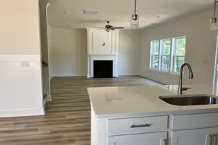 433 Destiny Farm Ln, Blythewood, SC 29016 - Photo 5