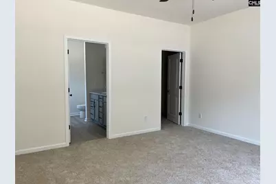 417 Destiny Farm Lane, Blythewood, SC 29016 - Photo 17