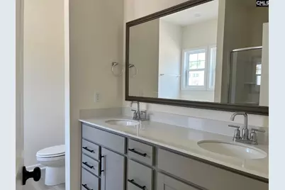 417 Destiny Farm Lane, Blythewood, SC 29016 - Photo 19