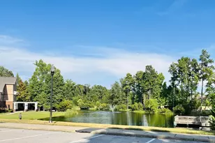 417 Destiny Farm Ln, Blythewood, SC 29016 - Photo 37