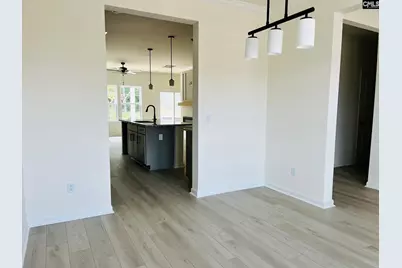 417 Destiny Farm Lane, Blythewood, SC 29016 - Photo 7