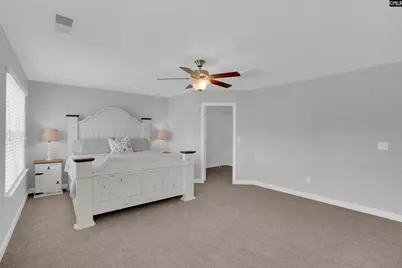 613 Calypso Court, Chapin, SC 29036 - Photo 17