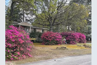 27 Foxhill Court, Columbia, SC 29223 - Photo 1