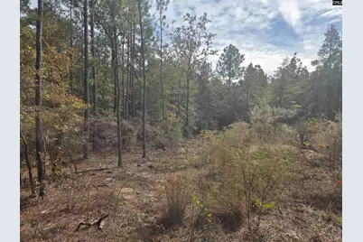 0 Ben Franklin Road, Gilbert, SC 29054 - Photo 5