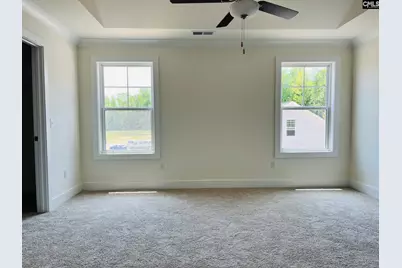 19 Fangango Court, Blythewood, SC 29016 - Photo 11