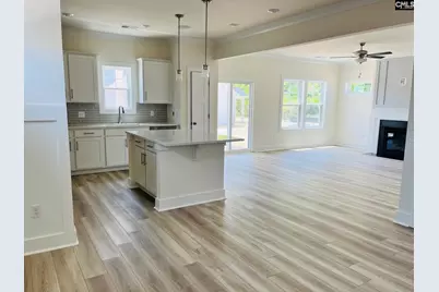 19 Fangango Court, Blythewood, SC 29016 - Photo 5