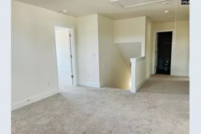 19 Fangango Court, Blythewood, SC 29016 - Photo 19