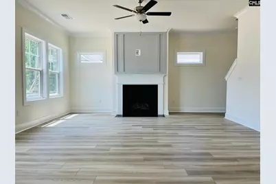 19 Fangango Court, Blythewood, SC 29016 - Photo 7