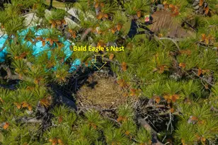 120 Magnolia Key Dr, Chapin, SC 29036 - Photo 7