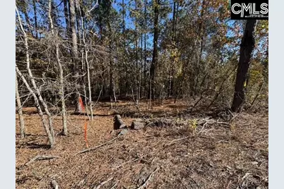 812 Whitehead Road, Lugoff, SC 29078 - Photo 3