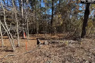 812 Whitehead Rd, Lugoff, SC 29078 - Photo 3