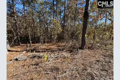 812 Whitehead Road, Lugoff, SC 29078 - Photo 5