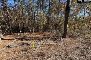 812 Whitehead Rd, Lugoff, SC 29078 - Photo 5